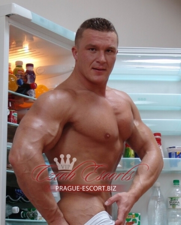 homo lingam massage prague german escort homo lingam massage prague german escort
